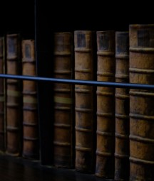 Old books lined up on a shelf. 