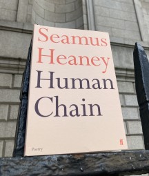 a copy of seamus heaney's poetry collection 'human chain' along a wrought iron fence with empty alcoves behind