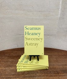 image of seamus heaney's play 'sweeney astray' against a blank wall