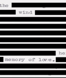 A black out poem of a Heaney manuscript where most of the words are blacked out except for 'The wind shakes her memory of love.'