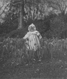 Ursula Mahon walking amongst daffodil flowers