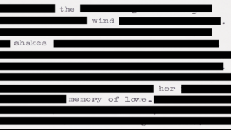 A black out poem of a Heaney manuscript where most of the words are blacked out except for 'The wind shakes her memory of love.'