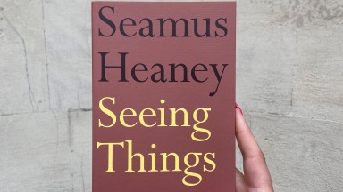 image of seamus heaney's poetry collection 'seeing things' against a blank wall