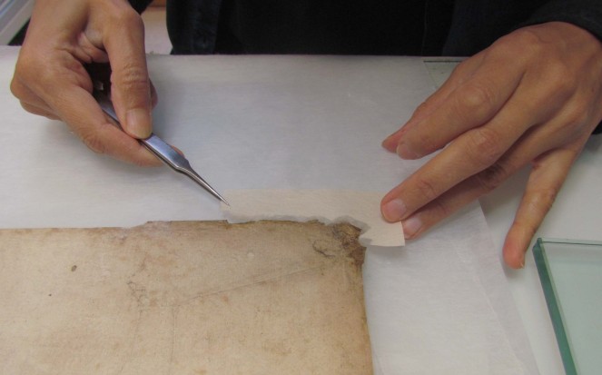 paper conservation