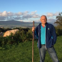 Photo of Michael Doherty in a field with sheep.