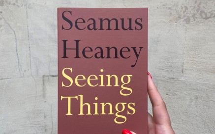 image of seamus heaney's poetry collection 'seeing things' against a blank wall