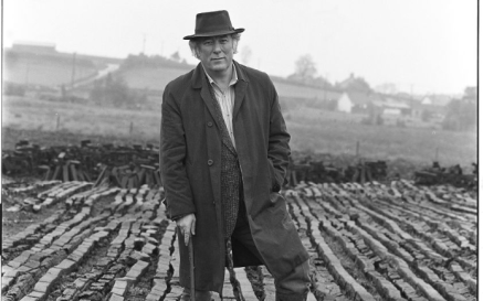 Seamus Heaney standing in a bog